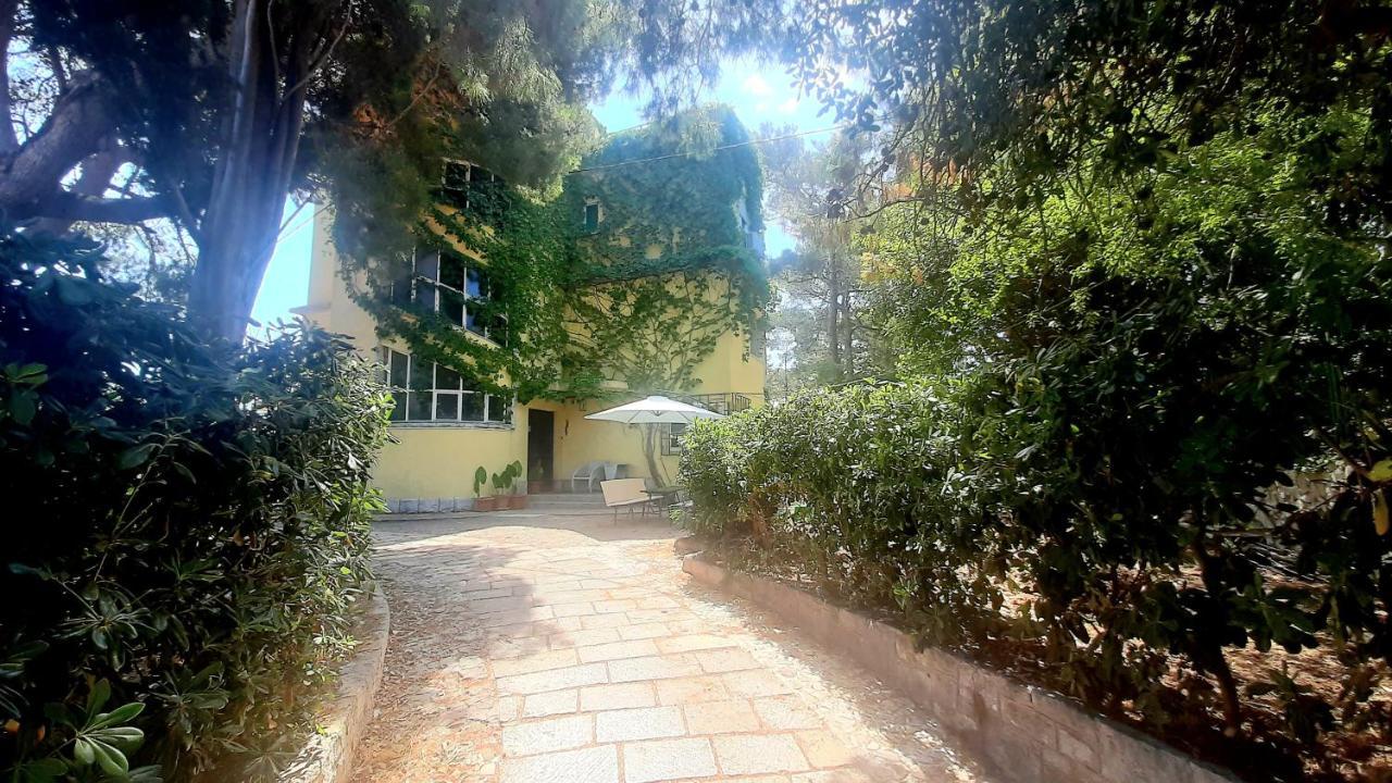 Old Captain'S Apartments - In A Pine Wood By The Sea And Tennis Courts سبليت المظهر الخارجي الصورة