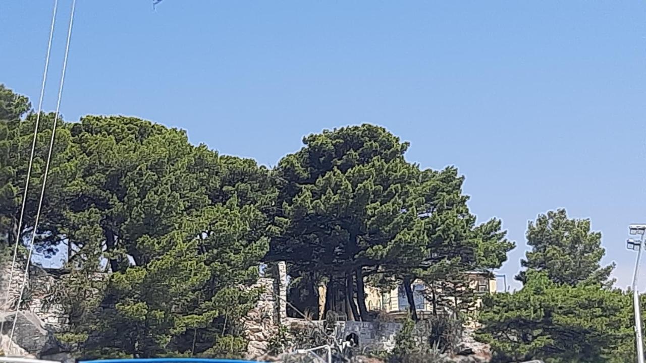 Old Captain'S Apartments - In A Pine Wood By The Sea And Tennis Courts سبليت المظهر الخارجي الصورة