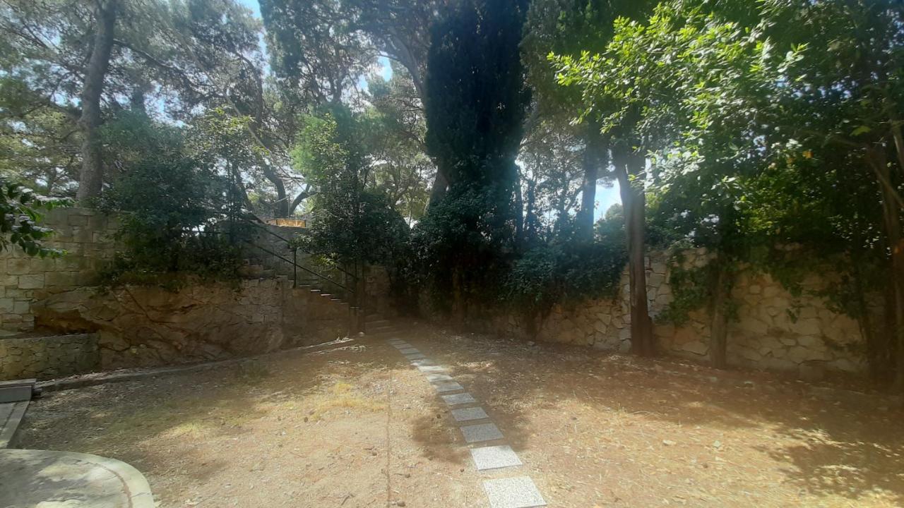 Old Captain'S Apartments - In A Pine Wood By The Sea And Tennis Courts سبليت المظهر الخارجي الصورة