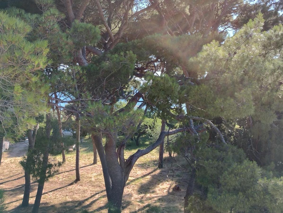 Old Captain'S Apartments - In A Pine Wood By The Sea And Tennis Courts سبليت المظهر الخارجي الصورة